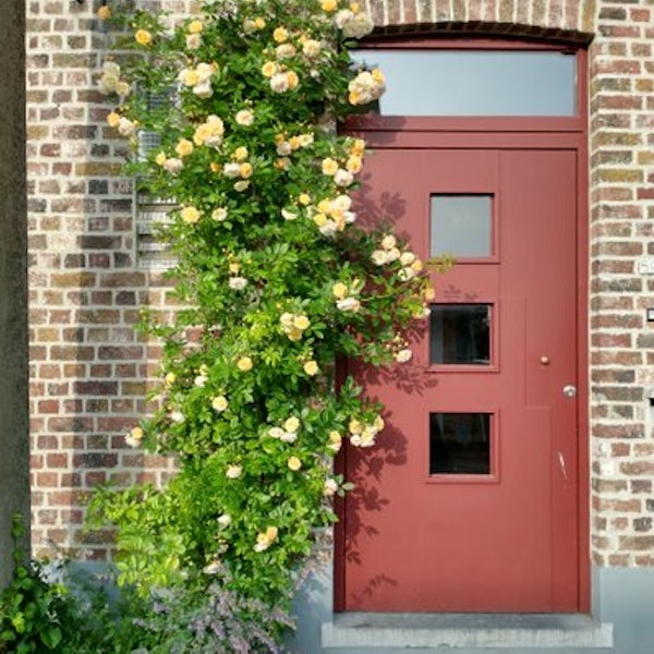 Geveltuin Alternatief