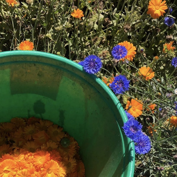 Schermafbeelding 2024 10 22 om 16 54 02