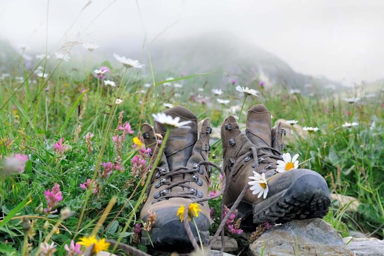 Kruidenwandeling