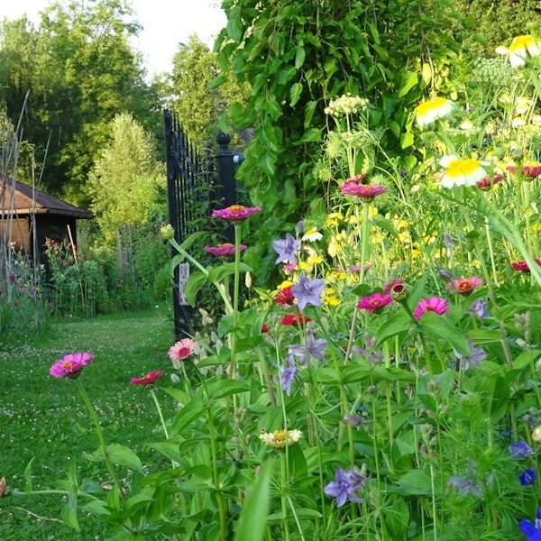 Rondleiding bloementuin Ragna Hansen