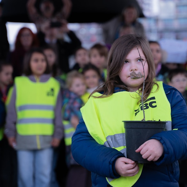 Planten van de Vredesboom (10 december '25)
