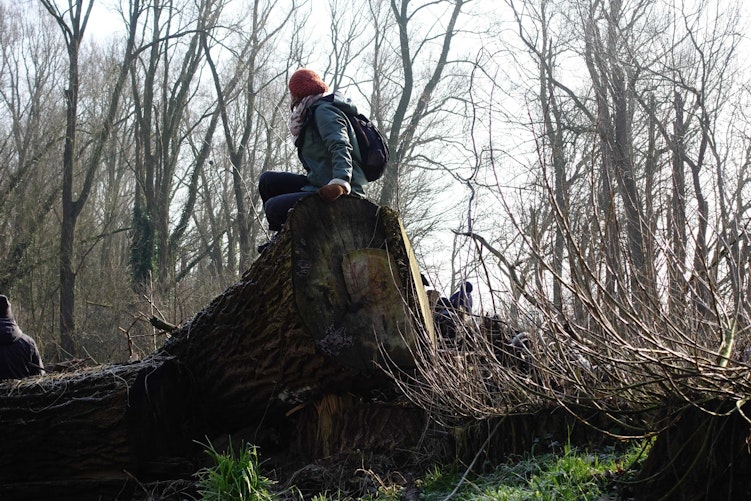 De natuur als coach min
