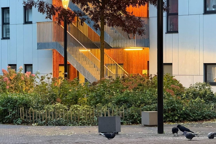 BLOG Leven in Leuven expo Tweebronnen