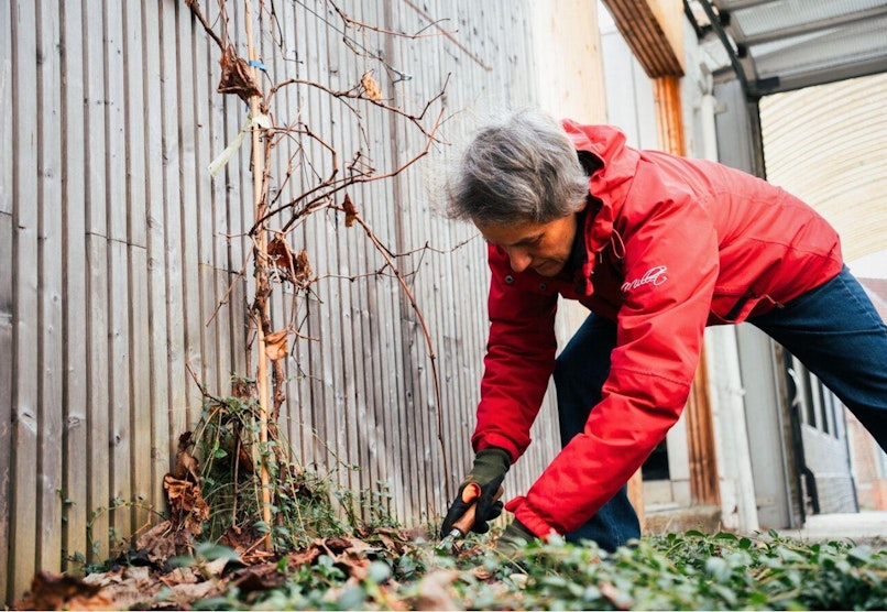 BLOG Tuinbuddy Geert in actie