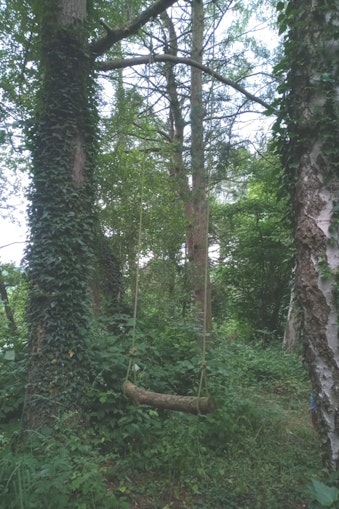 Gewillige Wilgen hoog 3