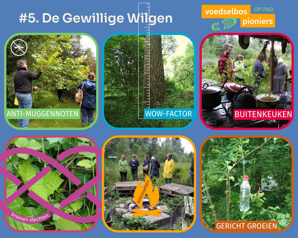 Gewillige Wilgen strip