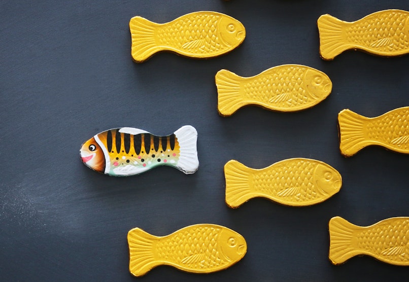 Stoorzender 2023 basisbeeld website