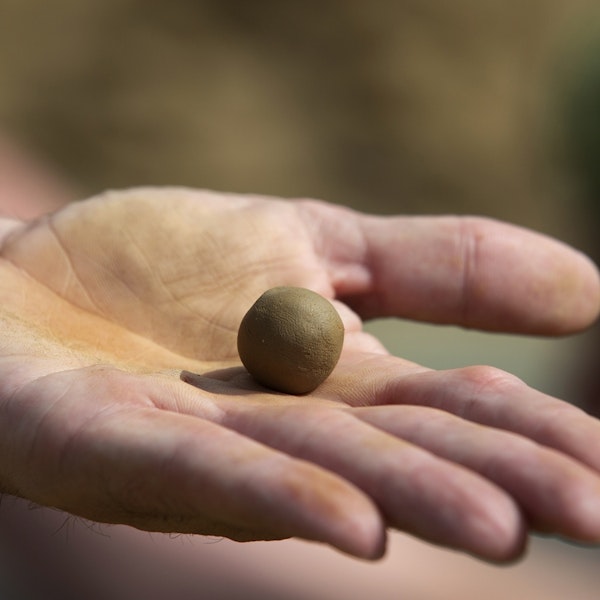 Zaadballen van klei met groenbemesters toekomstig mulchmateriaal