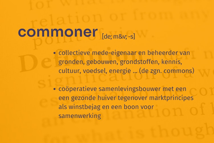 Activteiten nieuwe website 57