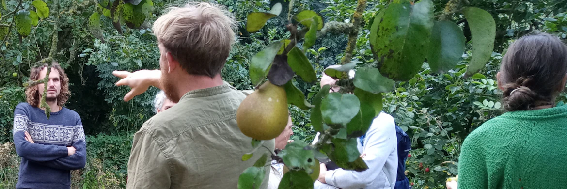 Headers projecten en nieuwsbrief vanaf 300821 40