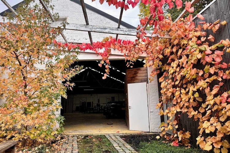 BLOG Tuinbuddy Herfst