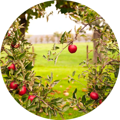 Icoontjes en logos 8