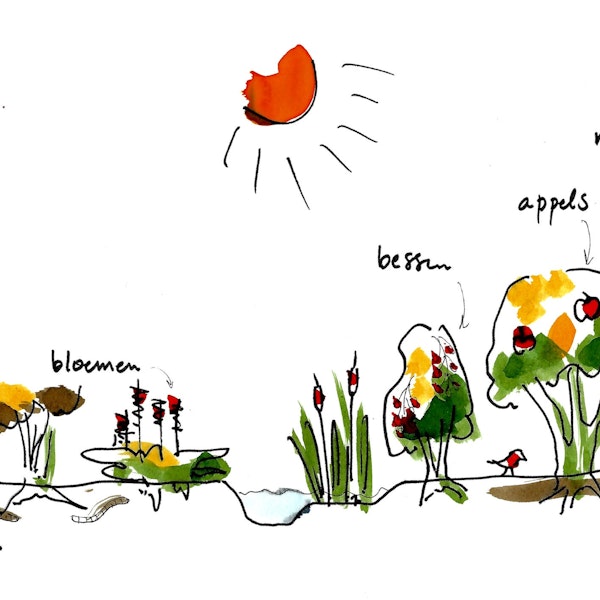 Voedselbos illustratie