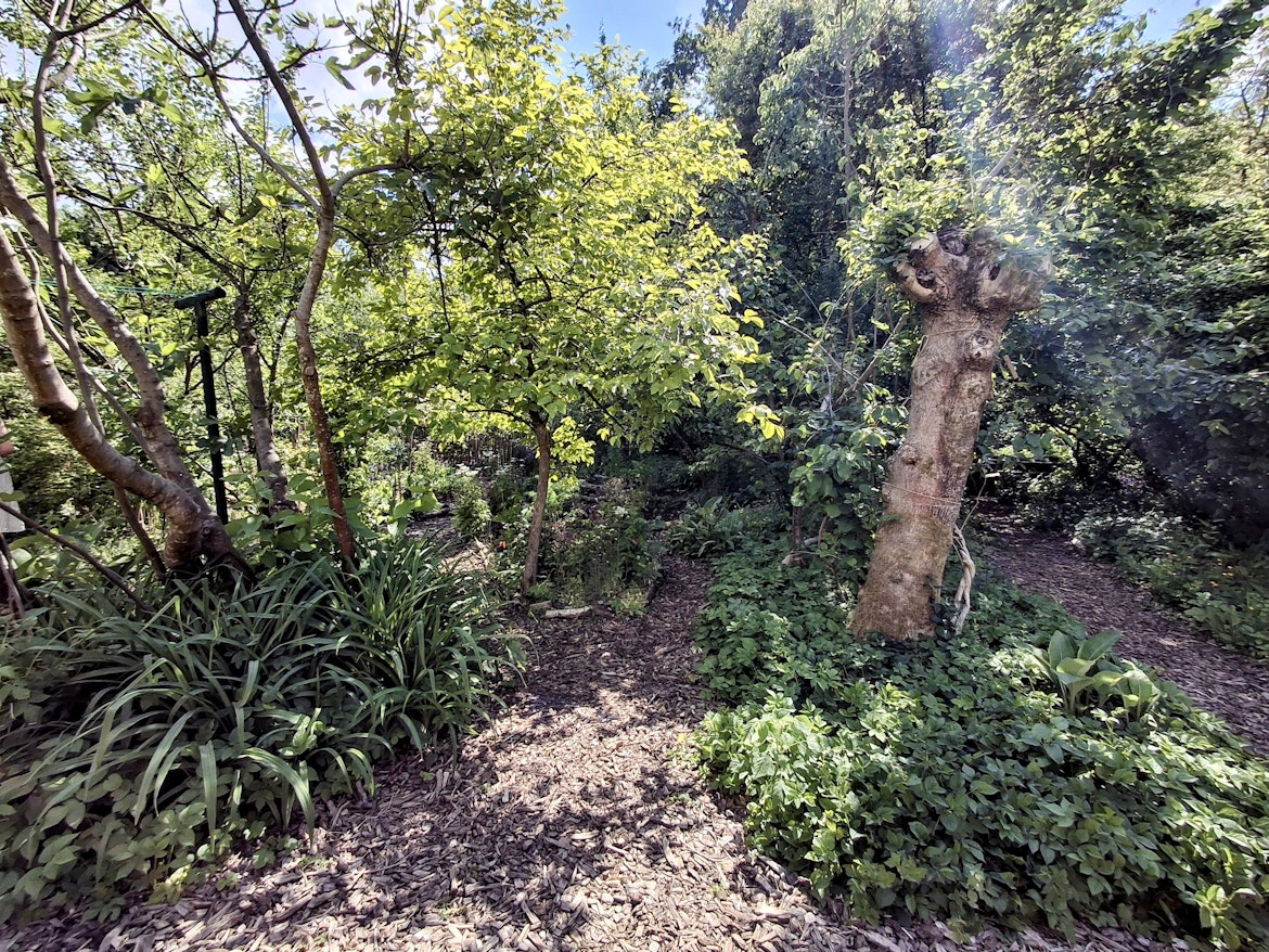 De Voedselbosbende Foto voedselbos