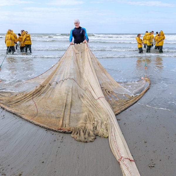 Zee strand meerdaagse bo